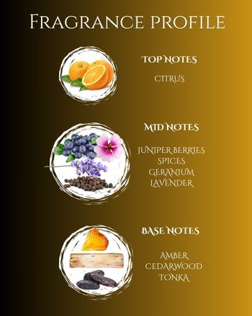 Xpac Ramon New york and Paris city 50 ml Combo